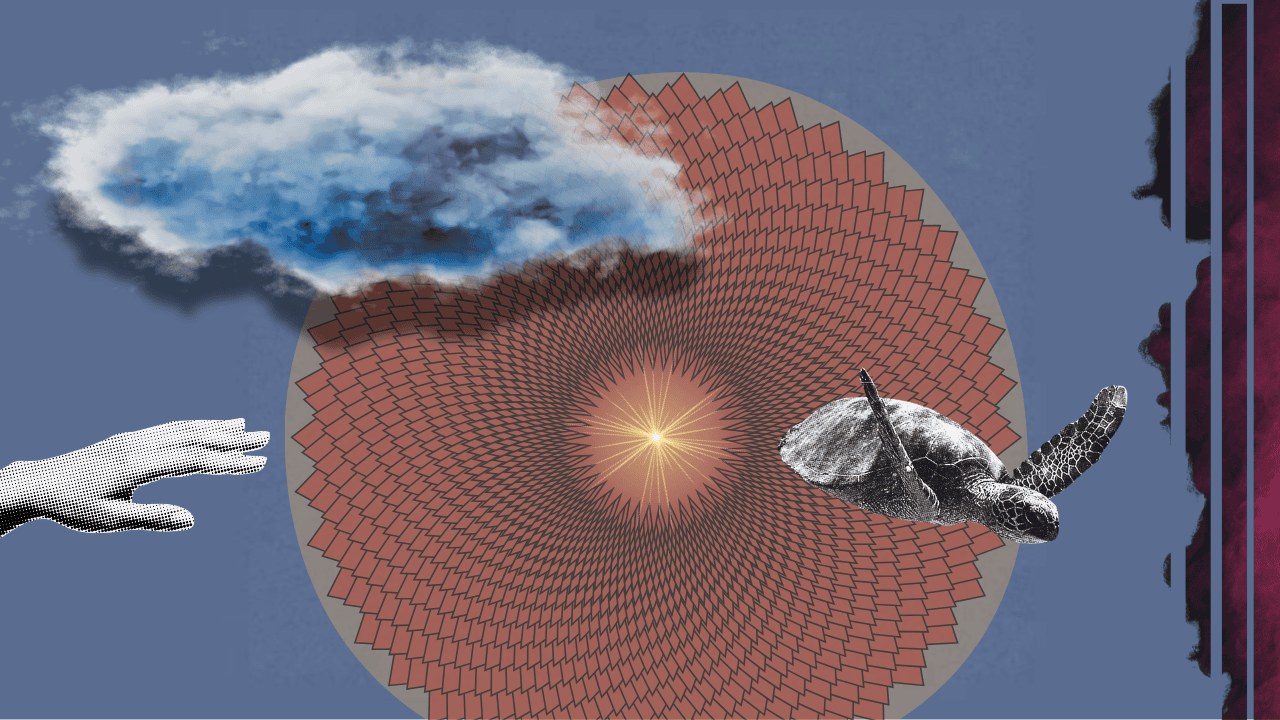 Die Gelassenheit in Form einer Schildkröte - sie sich aus dem Staub macht.
