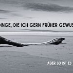 Treibholz am Strand mit dem Titel „Dinge, die ich gern früher gewusst hätte. Aber so ist es auch okay.“